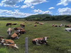 -塞罕坝国家级自然保护区