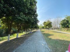 -两河城市森林公园