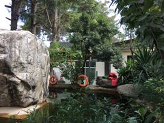 -瑞丰园庭院餐厅·白族传统家常菜