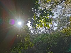 -三水森林公园