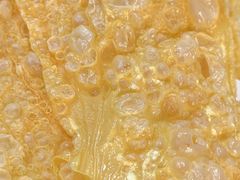 -老猫牛肉火锅(沙溪店)