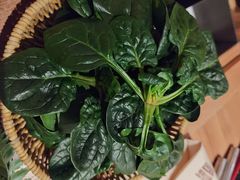 -巴奴毛肚火锅(龙湖锦艺城店)