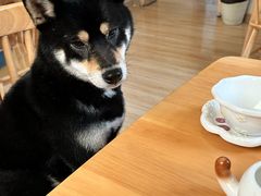 -柴の食堂·日式家庭料理·熊之肆(大学路店)