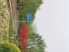 -元大都城垣遗址公园