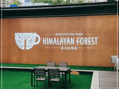 -喜马拉雅森HIMALAYAN FOREST