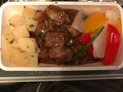 -新加坡航空公司(ION)