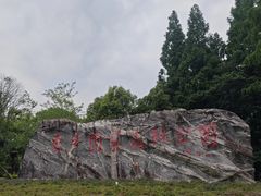 -东平国家森林公园