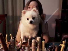 -零几体验diy皮具工作室(振业城店)
