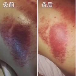 -京世沙龙