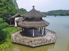 -龙坞茶村