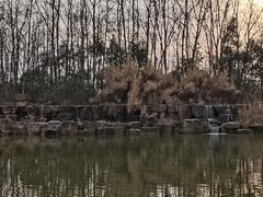 -合肥滨湖国家森林公园