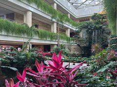 -广州白天鹅宾馆