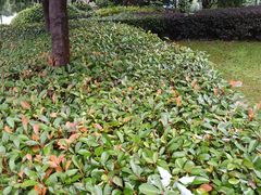 -SFC上影影城(临平店)