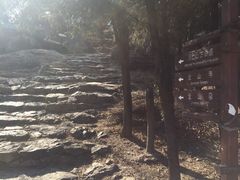 -阳台山自然风景区