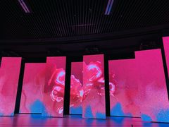 -深圳市当代艺术与城市规划馆