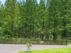 -黄海国家森林公园