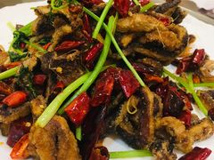 -凤齐羊肉烩面馆