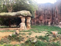 -杭州野生动物世界