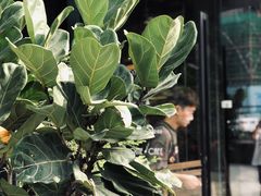 -Home Cafe(水榭春天店)