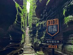 -梭布垭石林景区