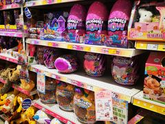 -TOYSRUS玩具反斗城(苏州中心店)