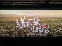 -万达影城(浦西万达广场激光IMAX店)