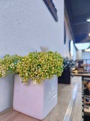 -Oasis Beauty水磨坊科技美肤中心