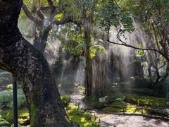 -Chom Cafe and Restaurant