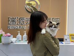 -瑞派康怡24h宠物医院·犬猫医疗中心·微创绝育(瑞景分院)