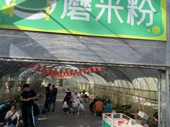 -前小桔亲子创意农场·草莓采摘·露营烧烤