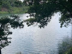 -红花湖景区