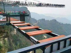 -梦幻奥陶纪景区