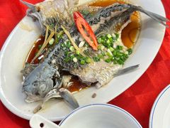 -先鲜鲫鱼粥