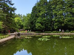 -庐山风景区花径公园