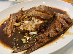 -魚當家