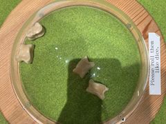 -东京国立博物馆