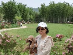 -芭比堂动物医院(广州爱宠下渡路分院)