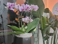 -Flower in(密渡桥店)