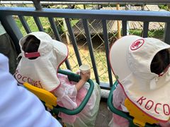 -西霞口神雕山野生动物世界