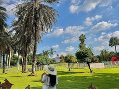 -东南花都花博园