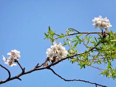 -宁波大学附属第一医院(外滩院区)