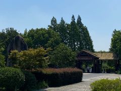 -苏州太湖国家湿地公园