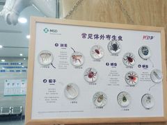 -瑞派名望志远动物医院·猫科·內科·异宠专科(直港大道店)
