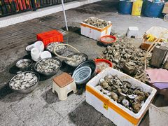 -花苑美食横琴生蚝火锅(拱北粤华路店)