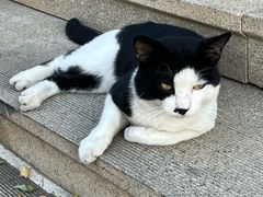 -青岛市江苏路基督教堂