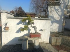 -观唐（国际）度假村温泉