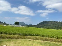 -艾米稻香小镇