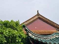 -翠湖公园