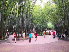 -晓港公园