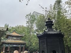 -天龙宝严素食馆(大兴善寺店)